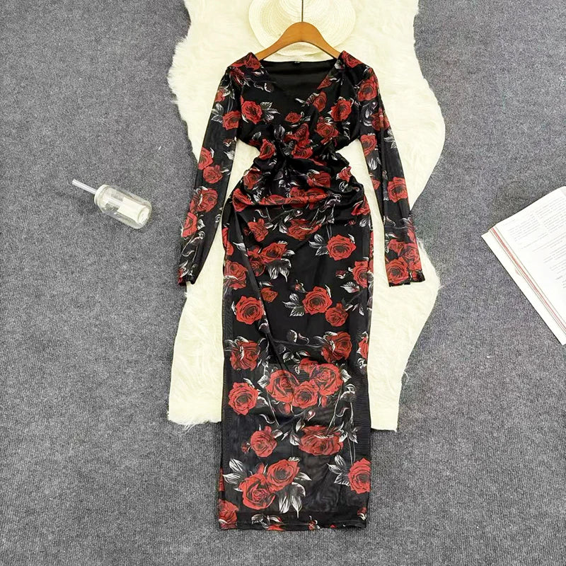 Mesh Print Women Maxi Dress V Neck Full Sleeve Bodycon Trendy Hipsters High Street Party Vintage Attirewear