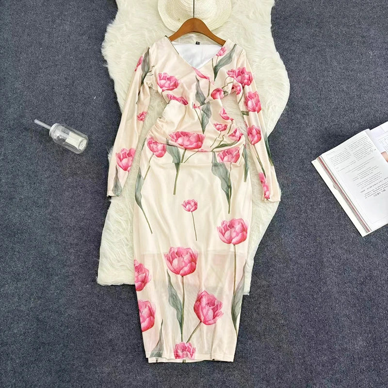 Mesh Print Women Maxi Dress V Neck Full Sleeve Bodycon Trendy Hipsters High Street Party Vintage Attirewear