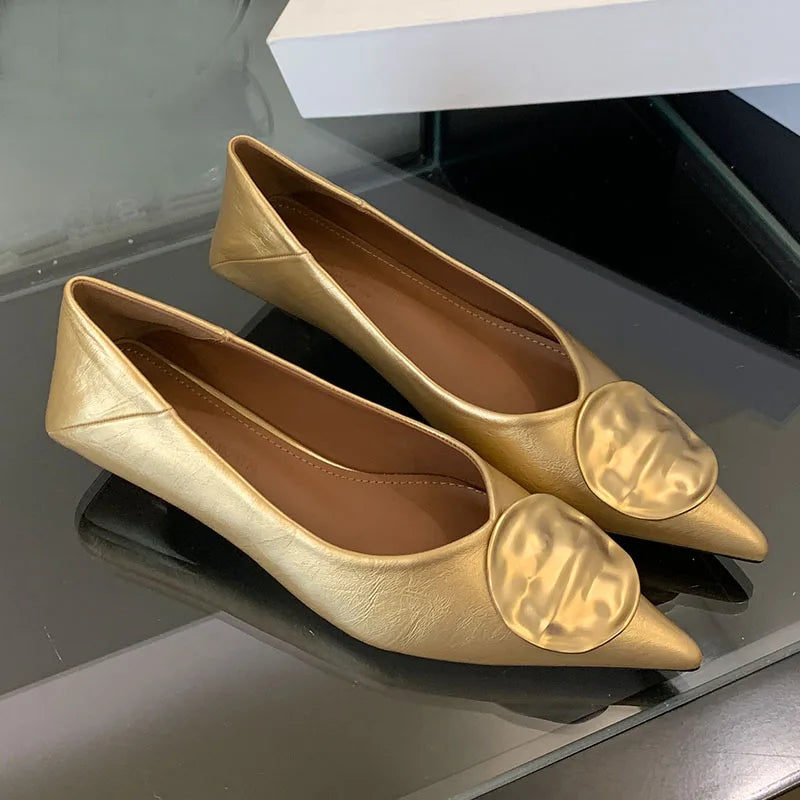 Female Slip On Footwear With Low Heel Shoes For Women New In Summer Spring Pointed Toe Fashion Metal Ladies Heeled Shoes