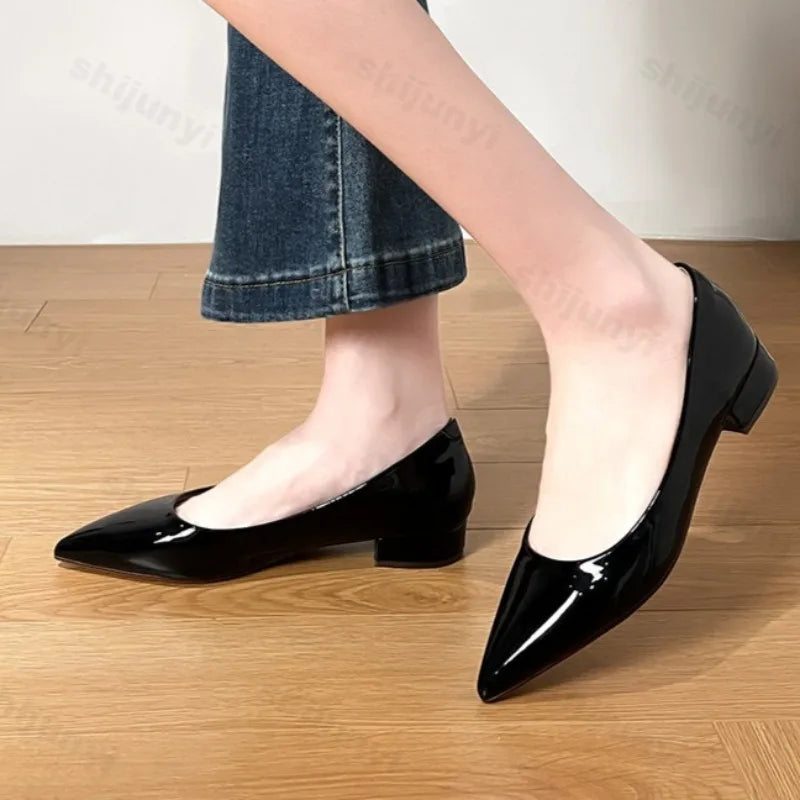 Women's Pointed Toe Flat Shoes 2025 New Spring Autumn French Style Nude Color Women's Shoes Outdoor Fashion High Heels Party