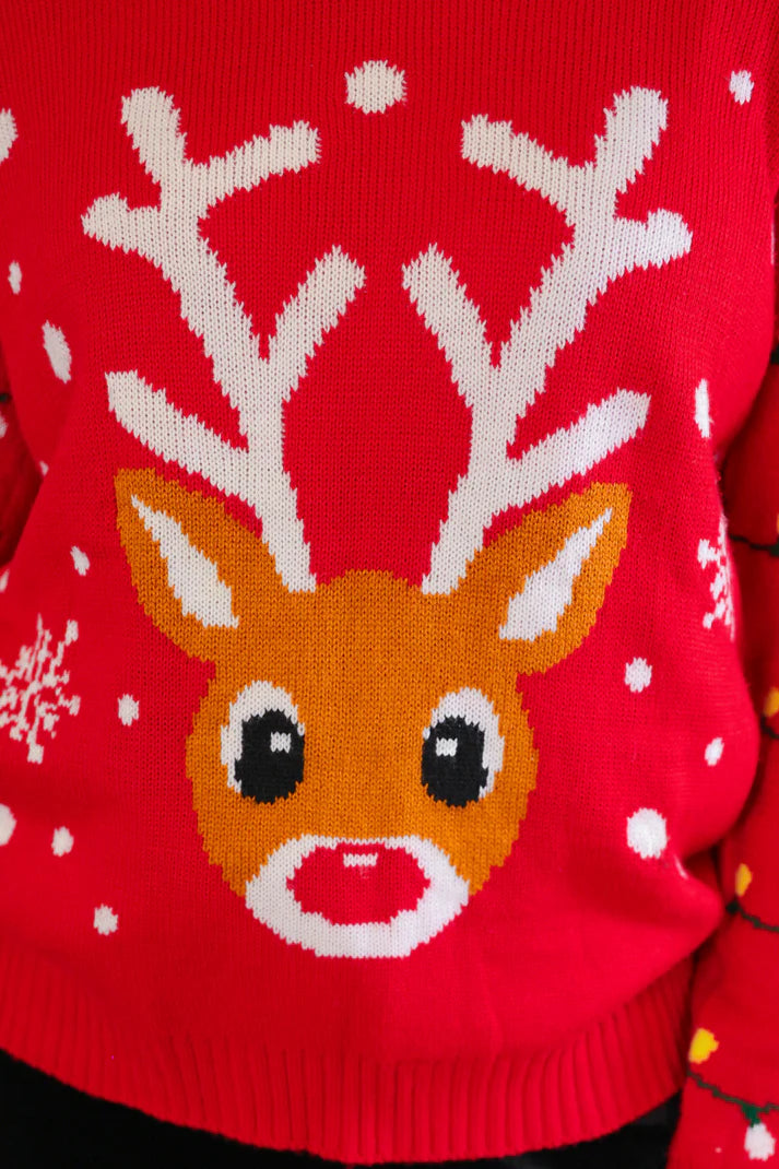 Nik's Picks (NP) - Reindeer Holiday Sweater