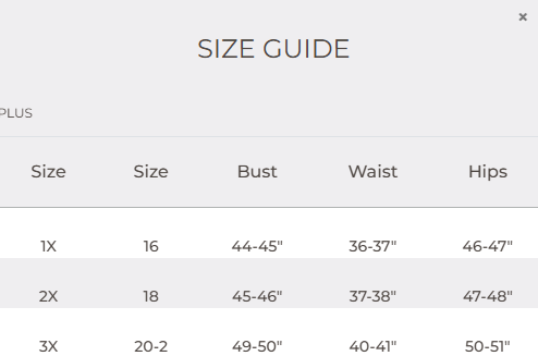Size guide chart for plus-sized clothing with measurements in inches.