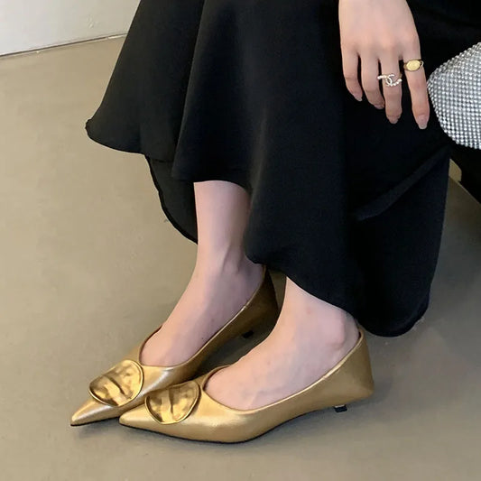 Female Slip On Footwear With Low Heel Shoes For Women New In Summer Spring Pointed Toe Fashion Metal Ladies Heeled Shoes