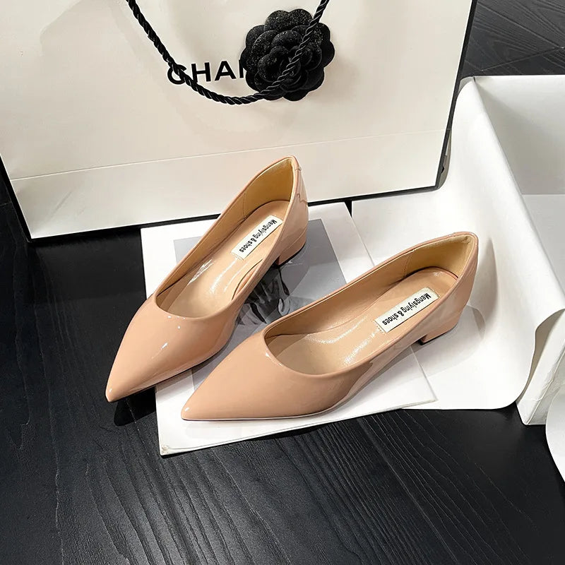 Women's Pointed Toe Flat Shoes 2025 New Spring Autumn French Style Nude Color Women's Shoes Outdoor Fashion High Heels Party